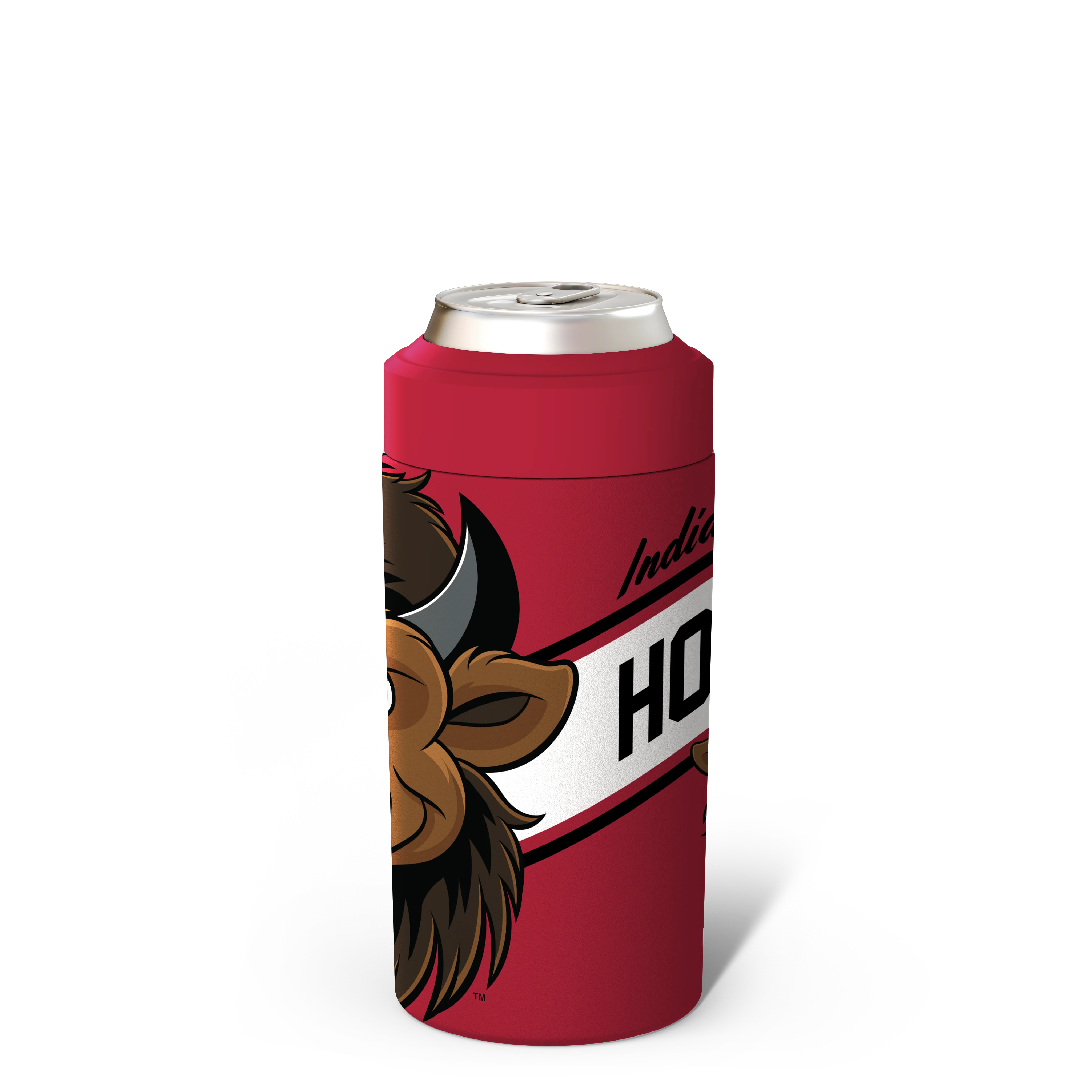 Universal Buddy | Indiana Hoosiers | Mascot - Image 3